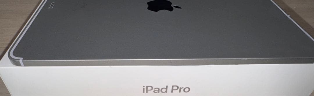 【訳あり】 iPad Pro 11 1st 256GB Wi-Fi+セルラー