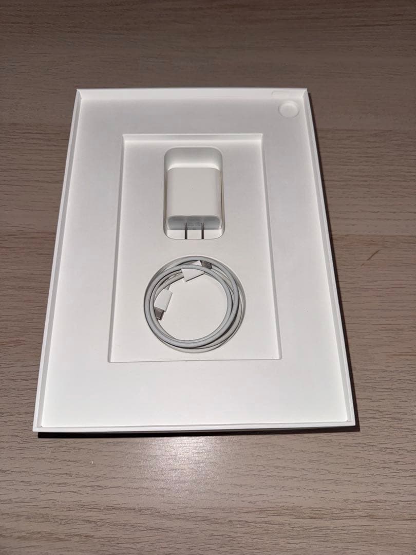 【訳あり】 iPad Pro 11 1st 256GB Wi-Fi+セルラー