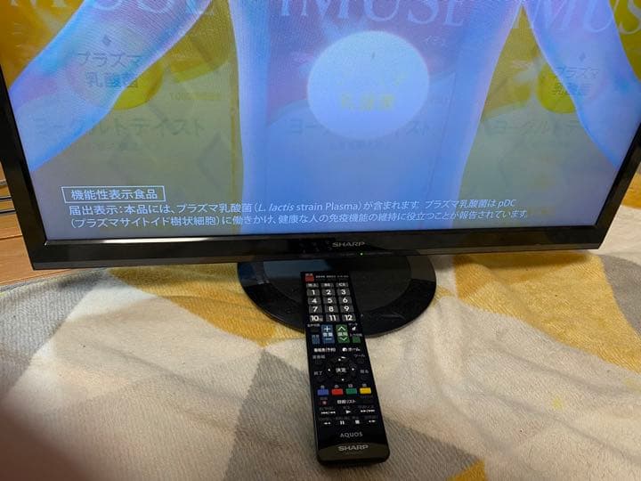 SHARP AQUOS P P5 LC-24P5-B 2018年製