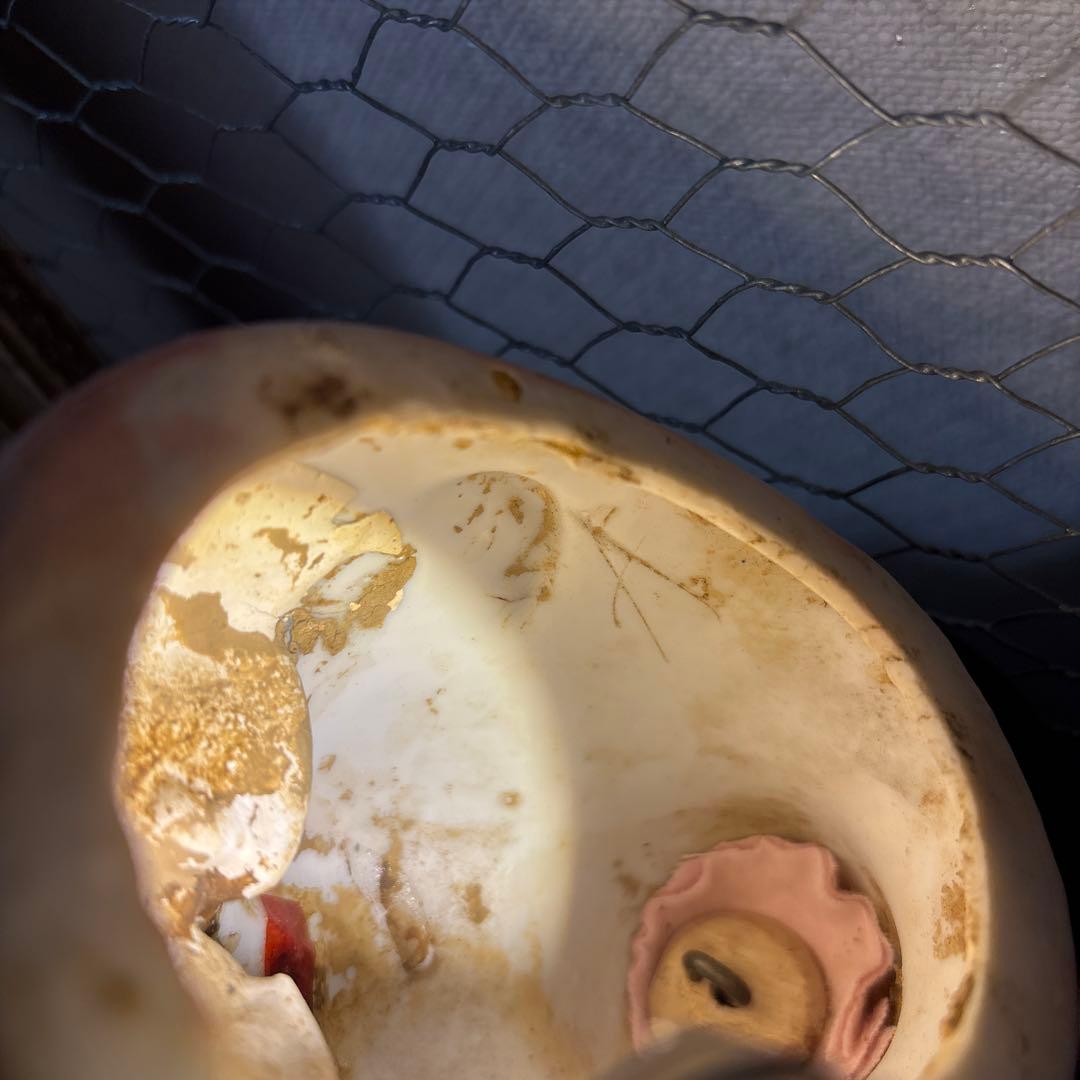 ジュモー　20日金曜日午後9時迄　再出品無し