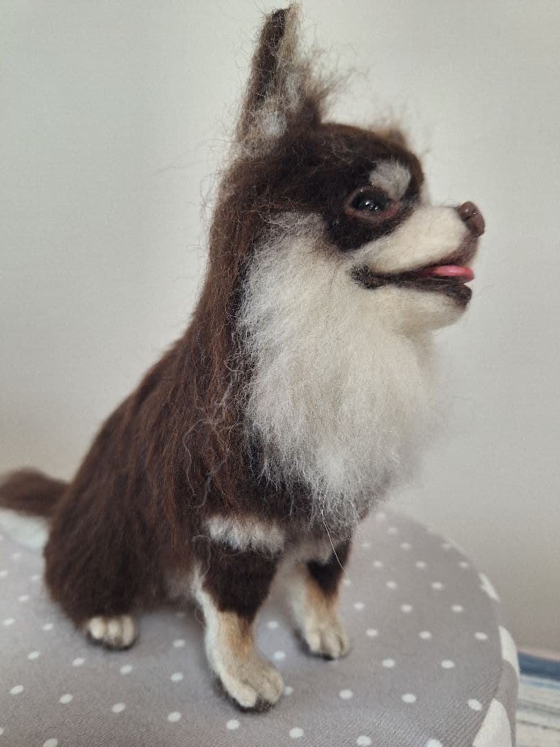 《確認用》羊毛フェルトチョコタン