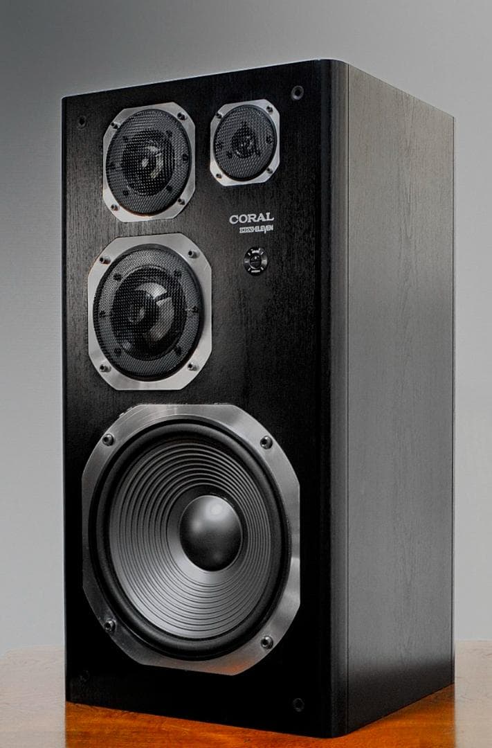 ★CORAL DX-ELEVEN 最終コーラルの秀作との出会い♪