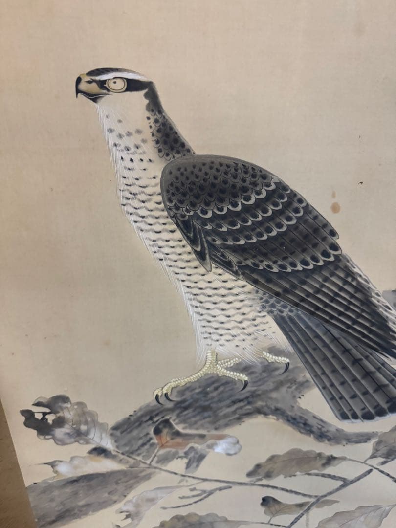 鷹の水墨画 松季　掛け軸