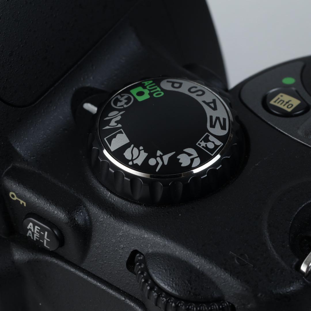 初心者おすすめデジタル一眼レフ★NIKON D40X★ダブルレンズセット