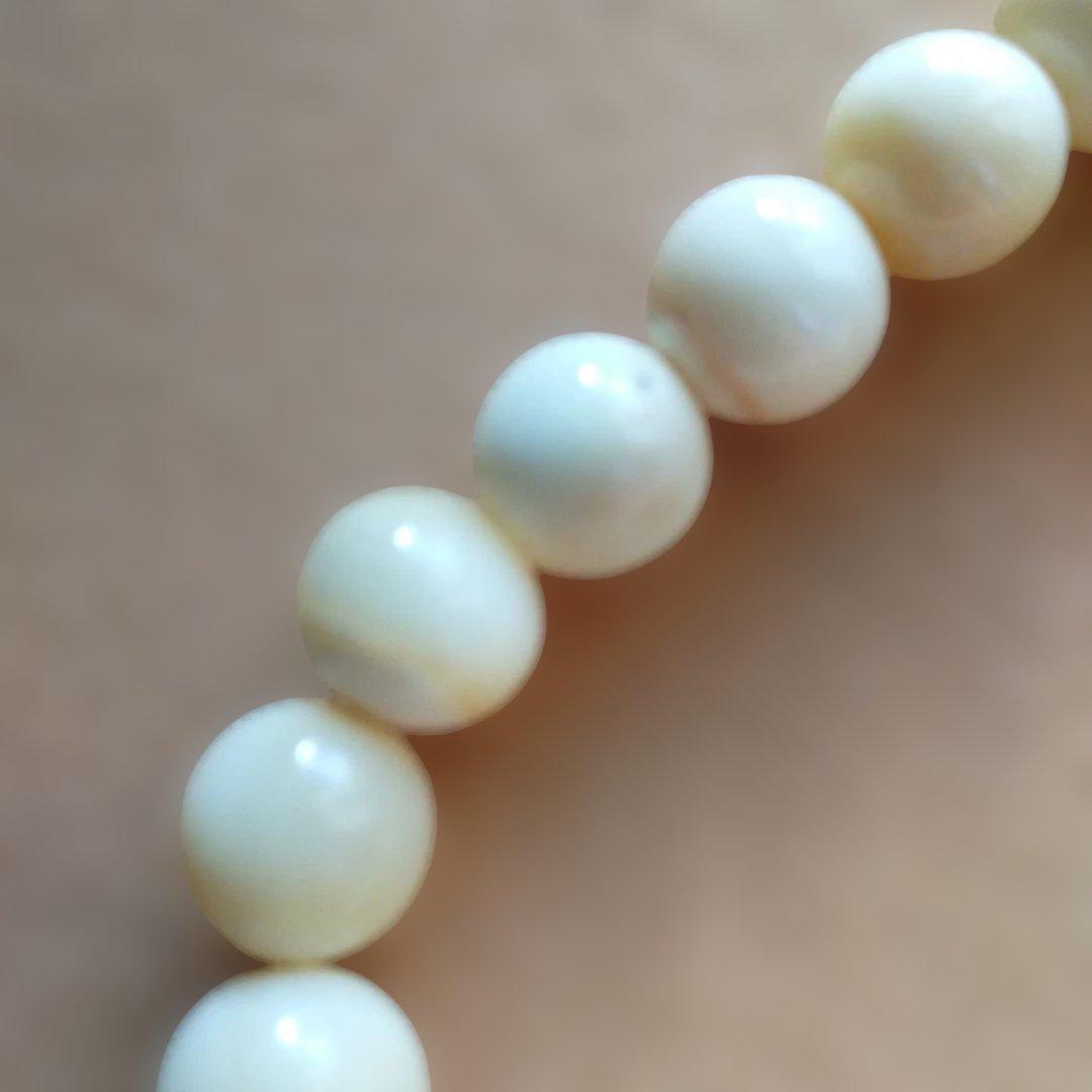 鯨歯　マッコウ鯨　牙玉ブレスレット　19㎝