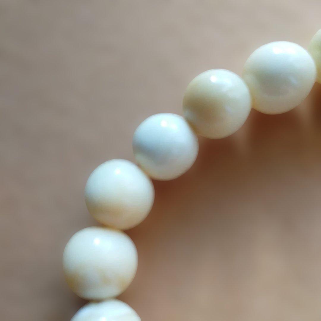 鯨歯　マッコウ鯨　牙玉ブレスレット　19㎝