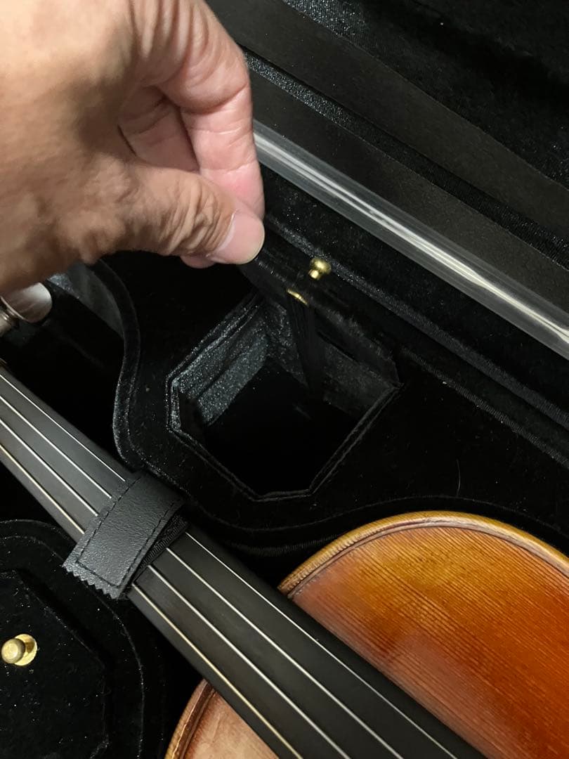 ドイツ4/4バイオリンRoderich Paesold No804J 上位モデル