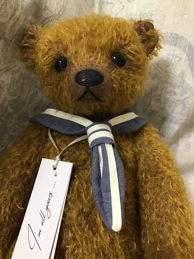 テディベア 海外作家 作家 海外 アーティスト