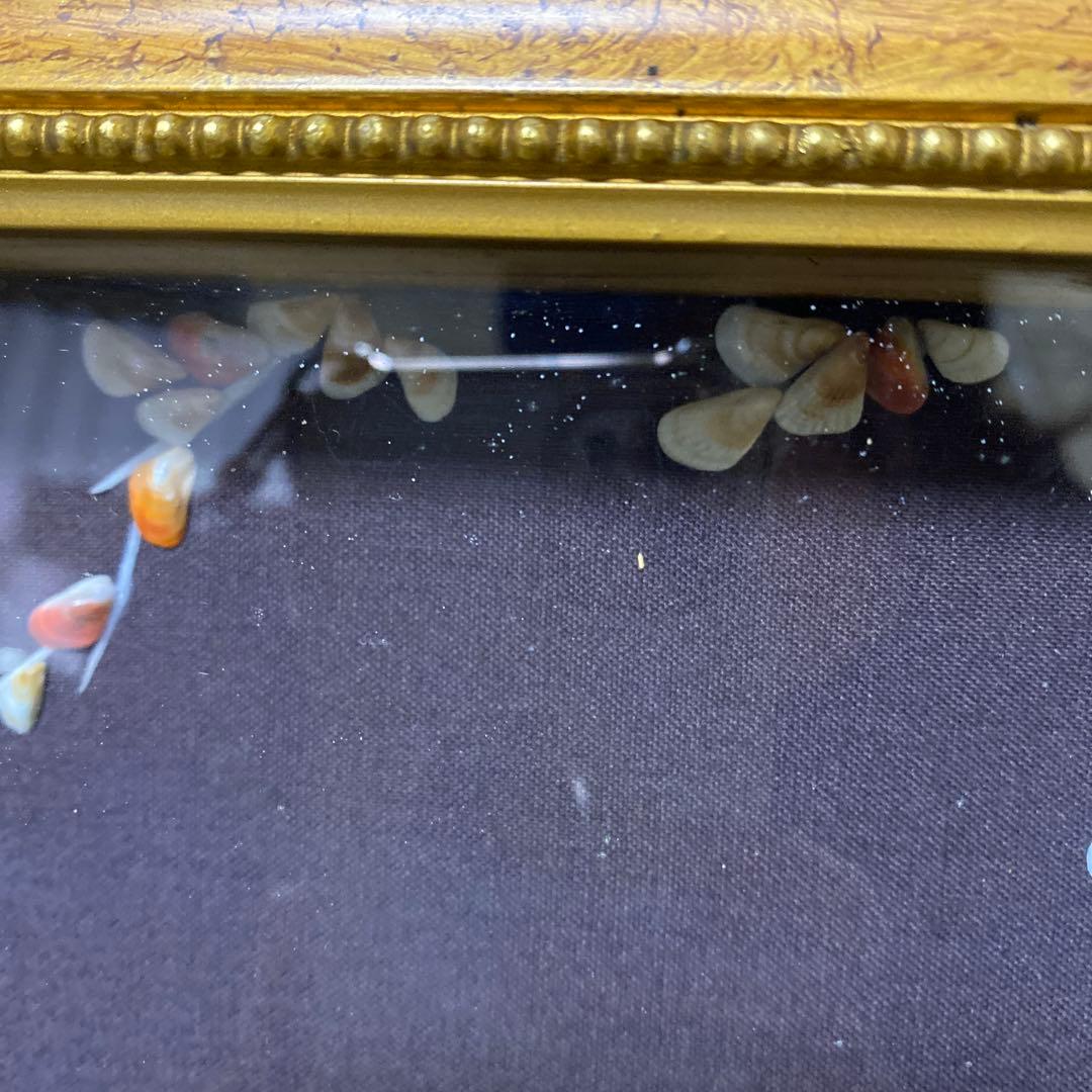 【増田良仙作】夫婦孔雀の貝工芸品　能登　増穂ヶ浦　横約98㌢縦約44㌢厚さ約5㌢