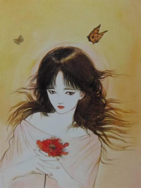 天野喜孝、キマイラ鳳凰変、希少画集画、新品高級額装付