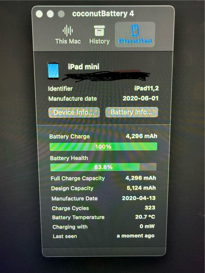 iPad mini 第5世代スペースグレー 2020年製