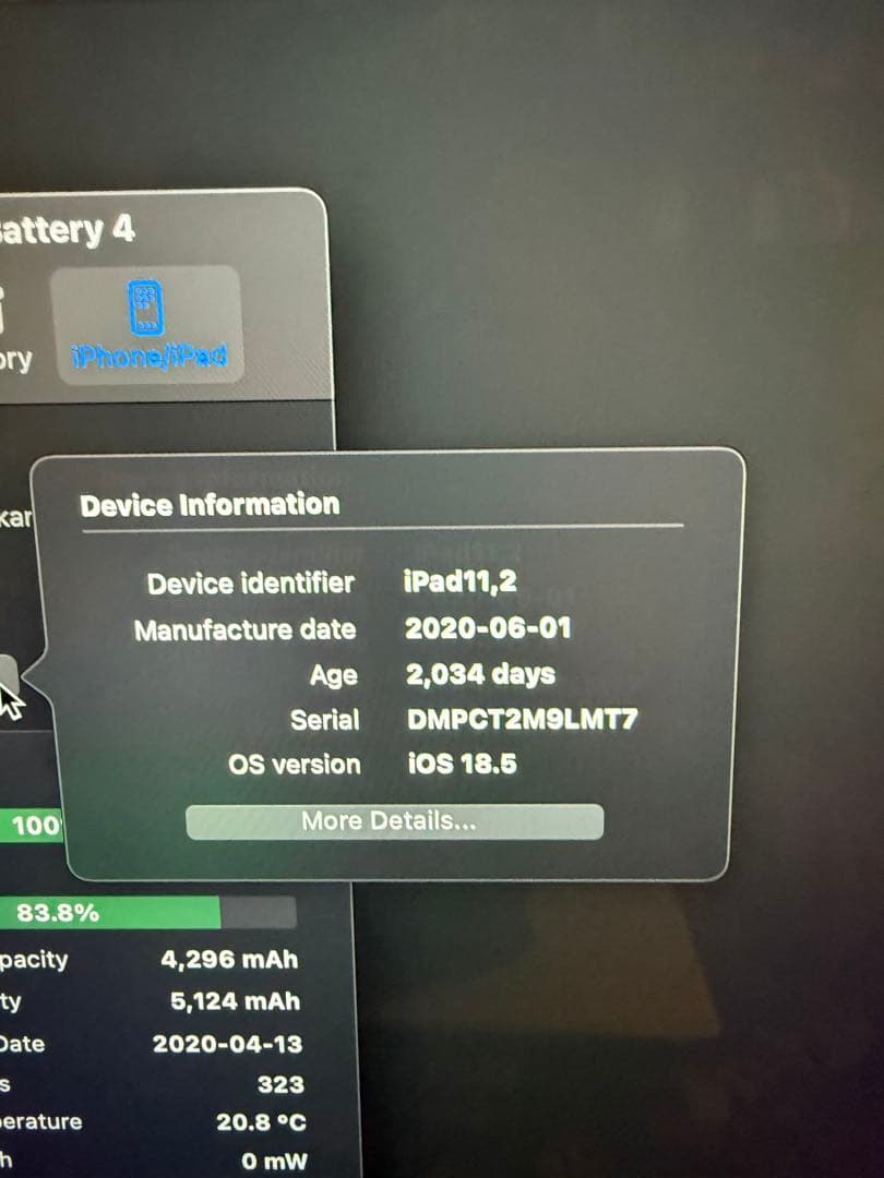 iPad mini 第5世代スペースグレー 2020年製