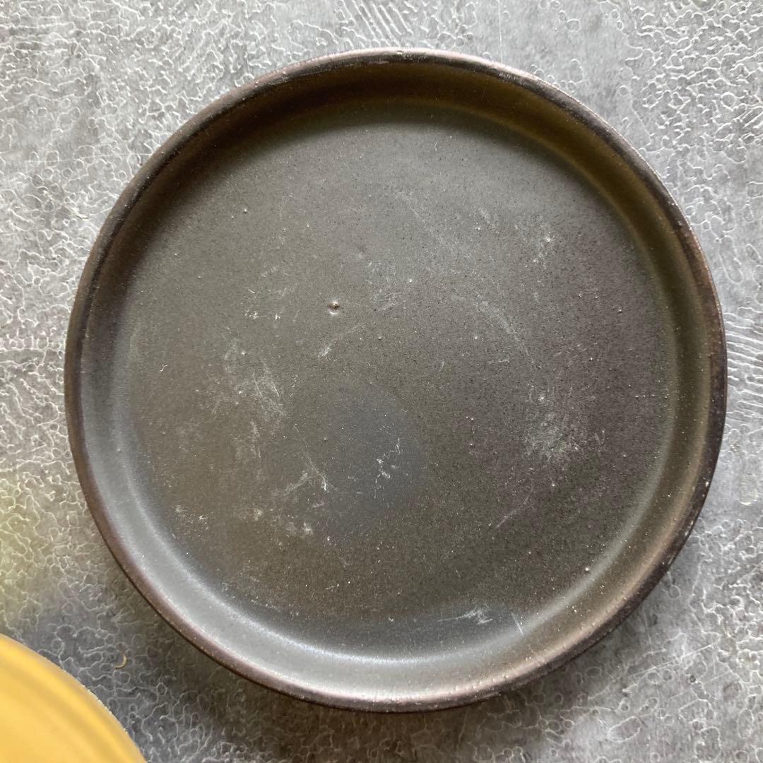 黒松 ねじり 盆栽 苔 陶器 ビリジアンブル