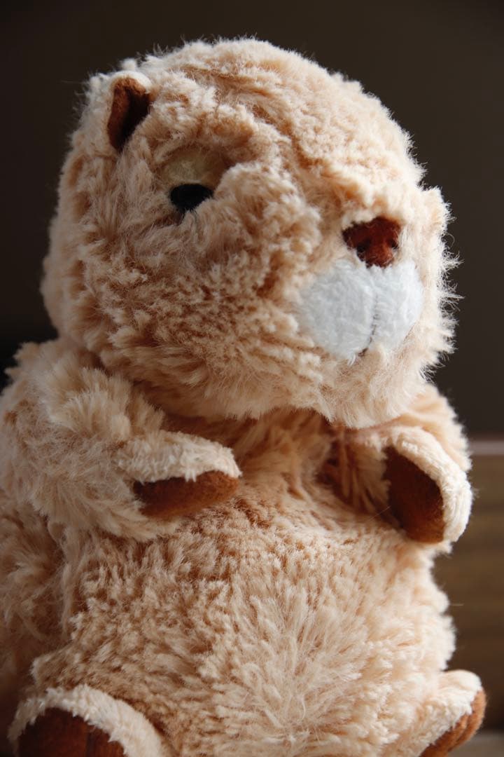 Canon EOS kiss x9 レンズ3本セット