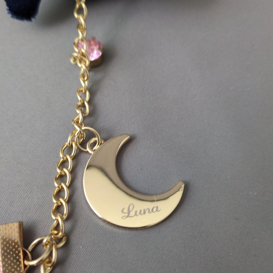 USJ限定 セーラームーン ルナ付き マスコットぬいぐるみ タグ付き 美品