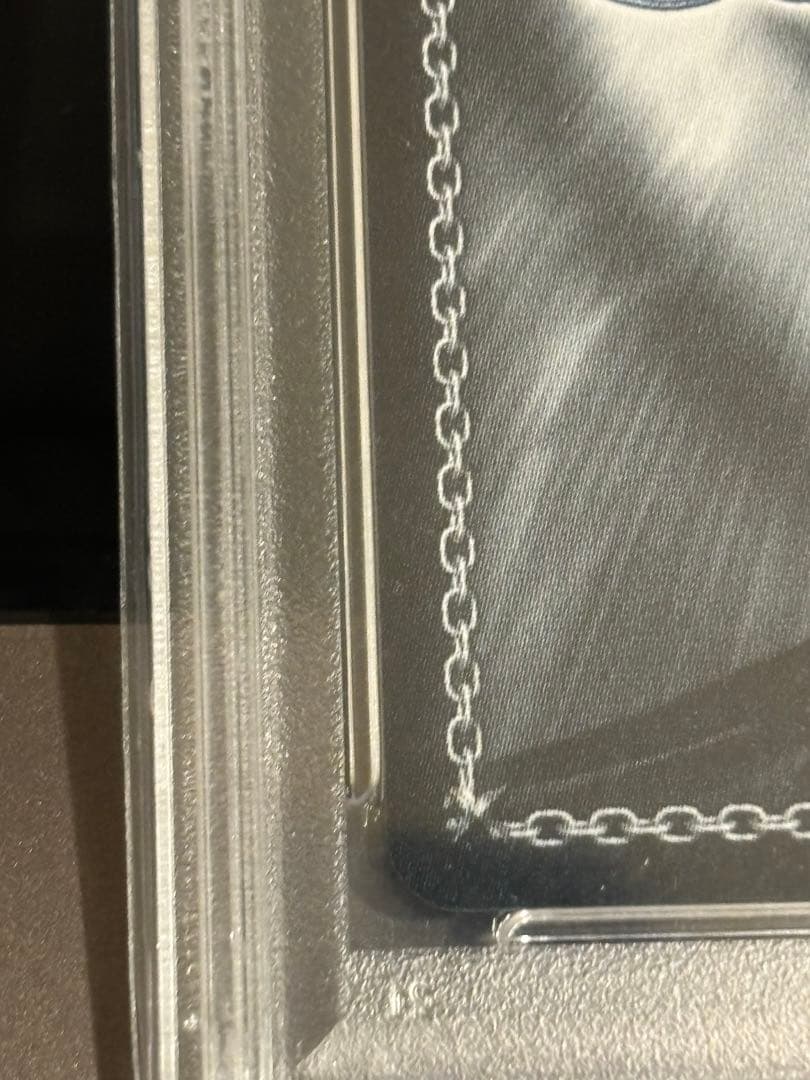《トカゲの保護　ティア》ssp psa10