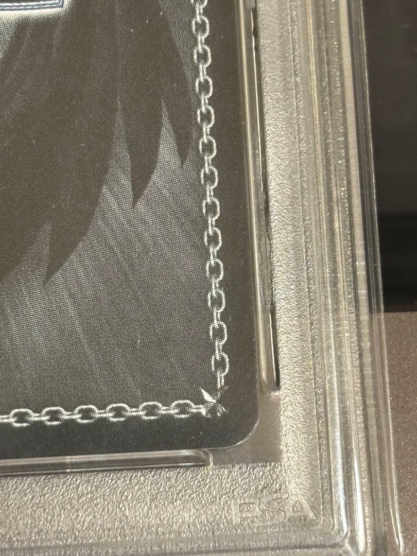 《トカゲの保護　ティア》ssp psa10