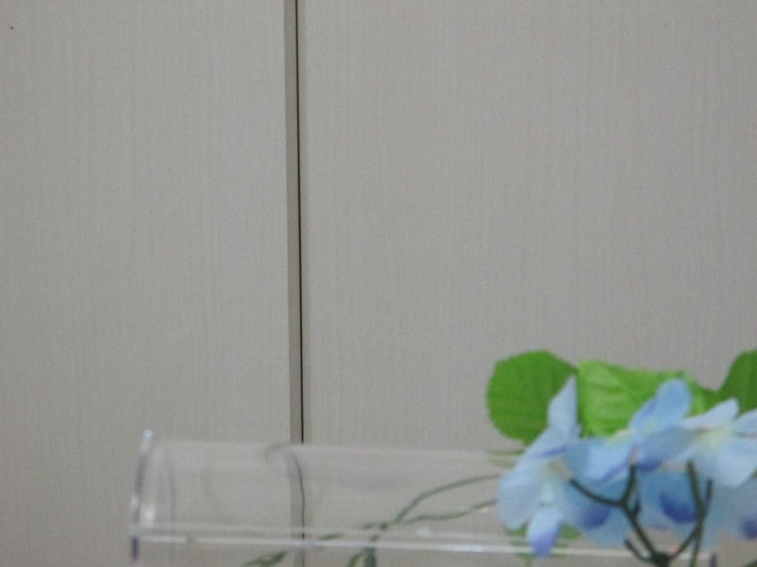 Canon カメラ　IXY 110F PC1889 充電器　箱 コンデジ　動作品