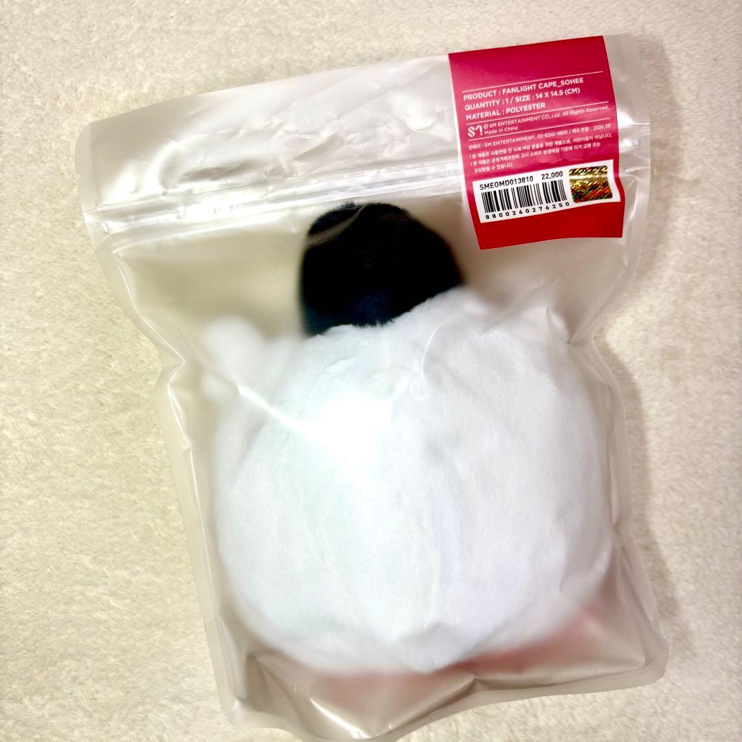 RIIZEソヒ ペンライトカバー トルビョン 公式品