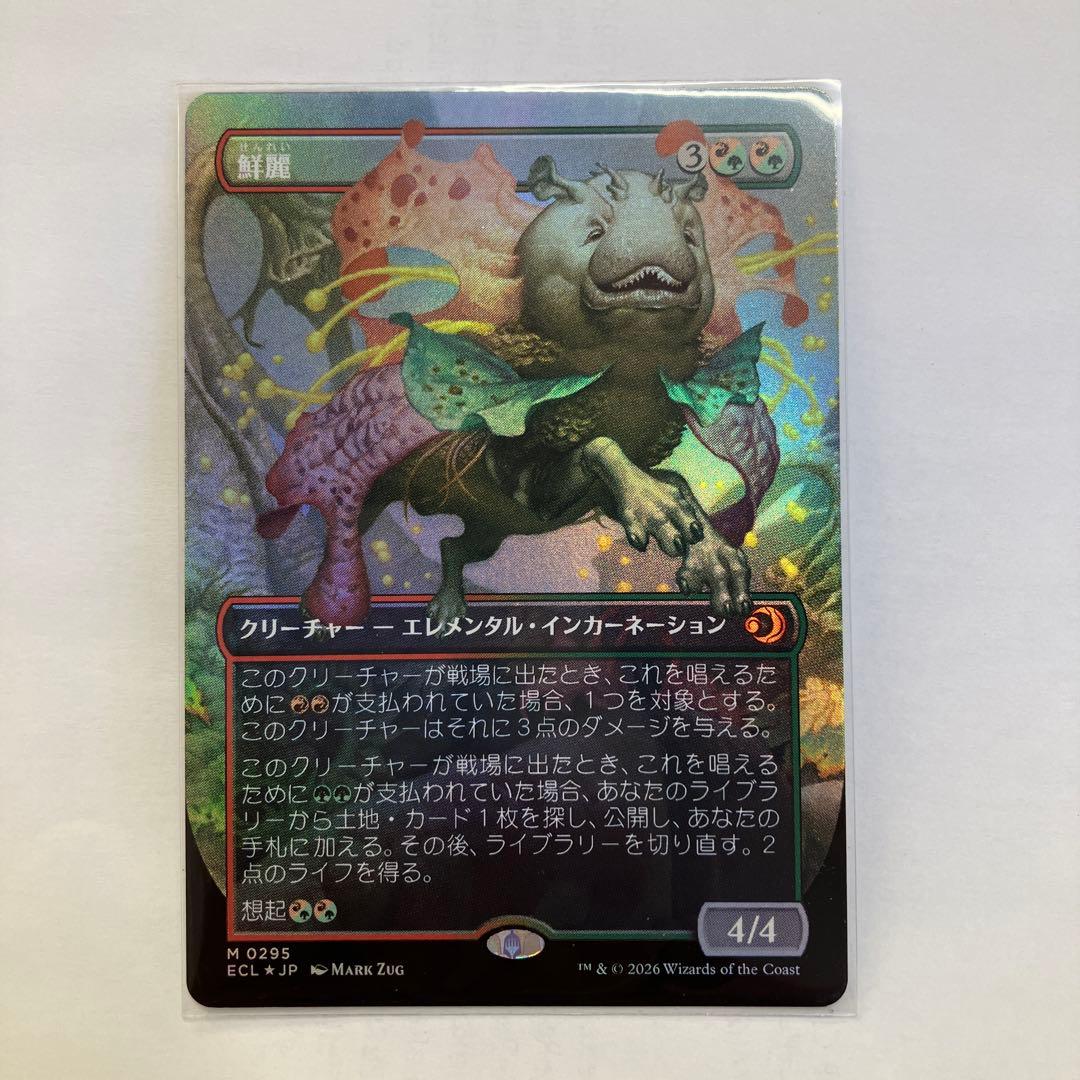 鮮麗　ボーダーレス　foil