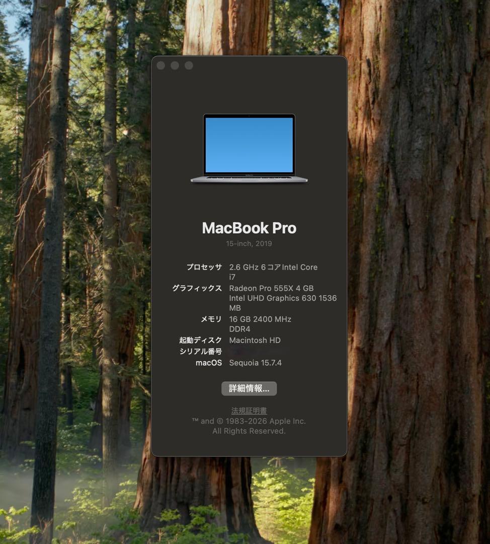MacBook Pro 2019/ i7 6コア/16GB/ 555X 4GB