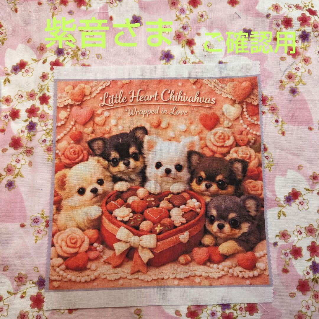 ご確認用　紫音さま専用　ハンカチ　チワワちゃん柄