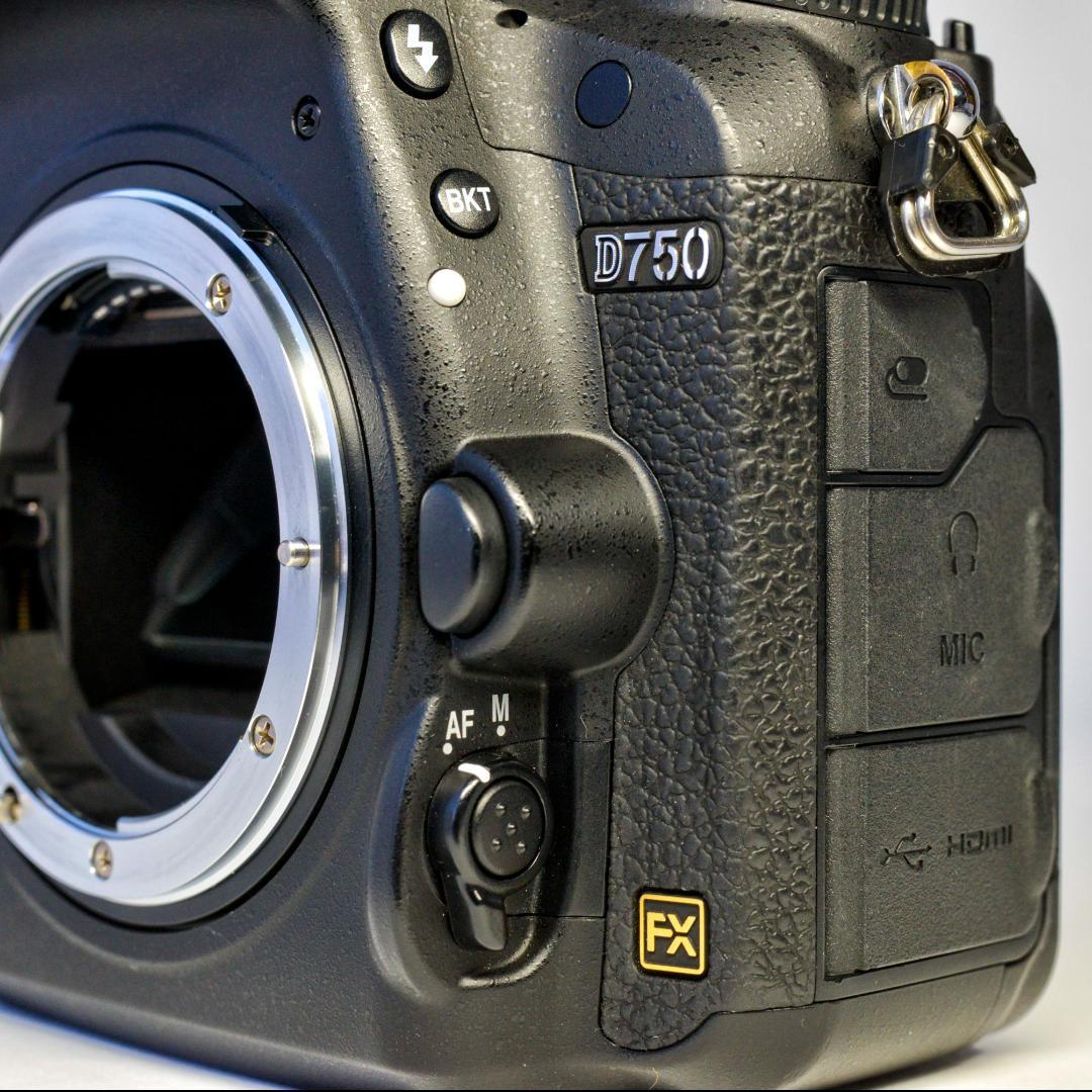 ニコン NIKON D750 シャッターカウント 13251ショット