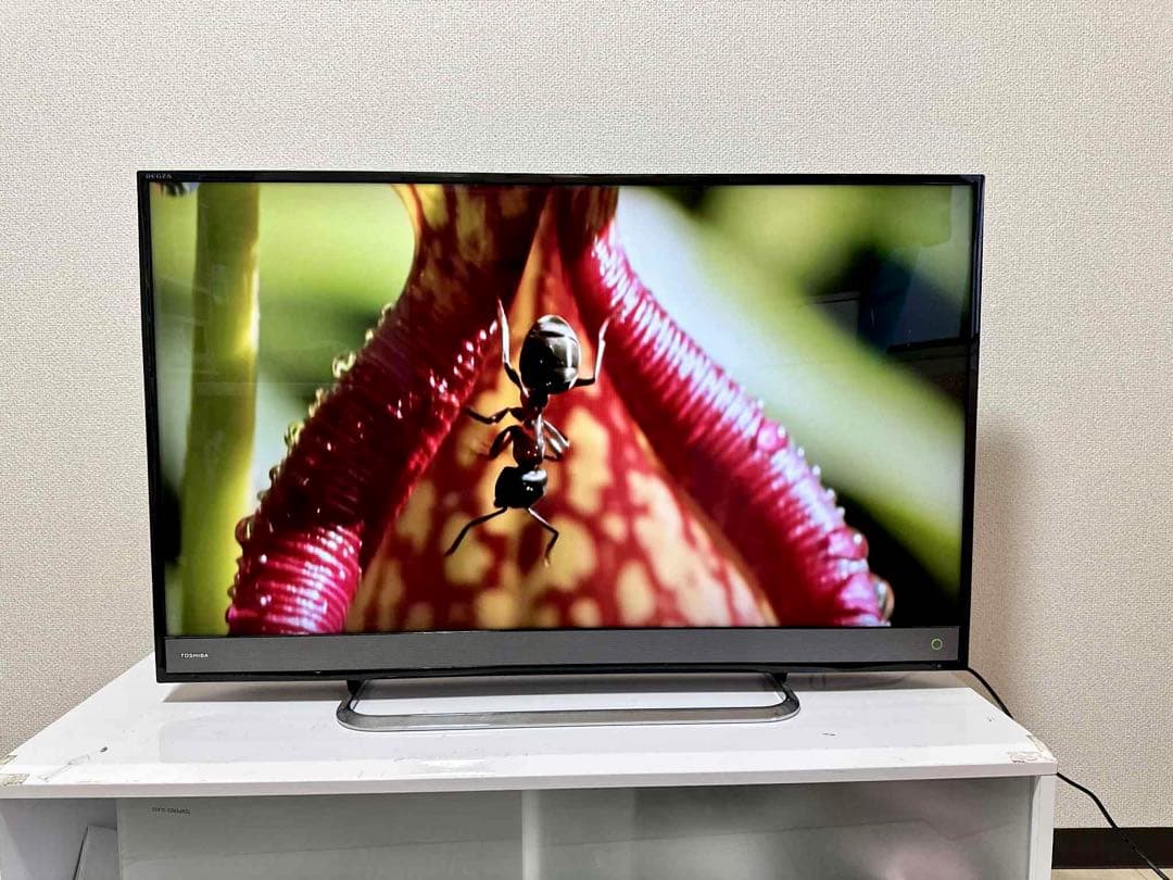 【4K REGZA／Netflix、YouTube】東芝　40型液晶テレビ