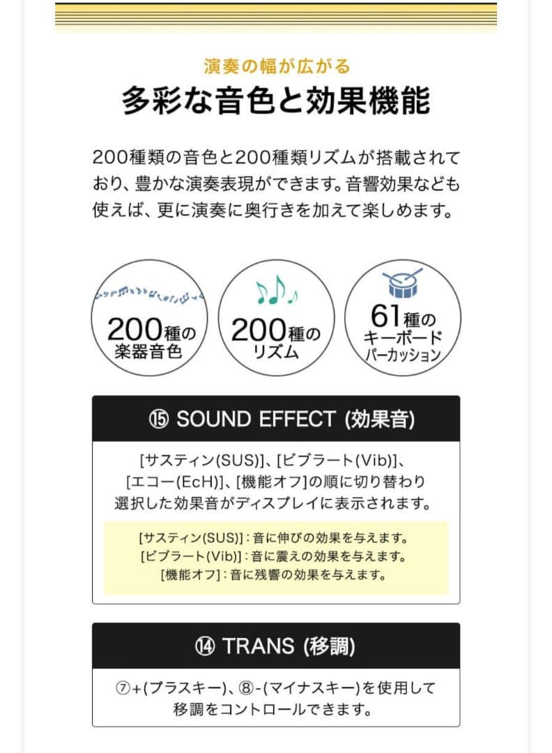 RiZKiZ 電子キーボード 61鍵盤