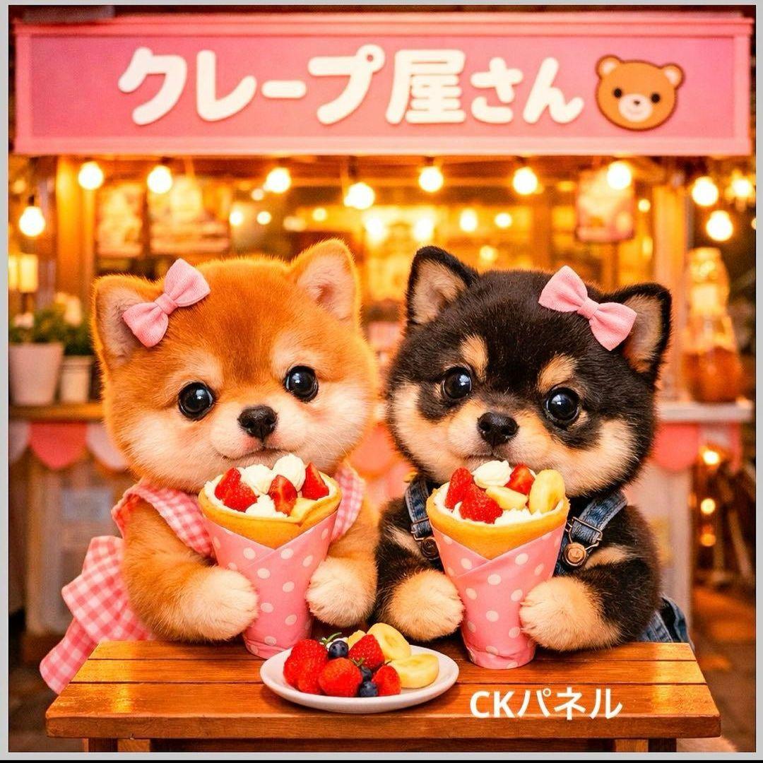激レアパグ、柴犬、ポメラニアン、トイプー、チワワパネル生地　ハンドメイド
