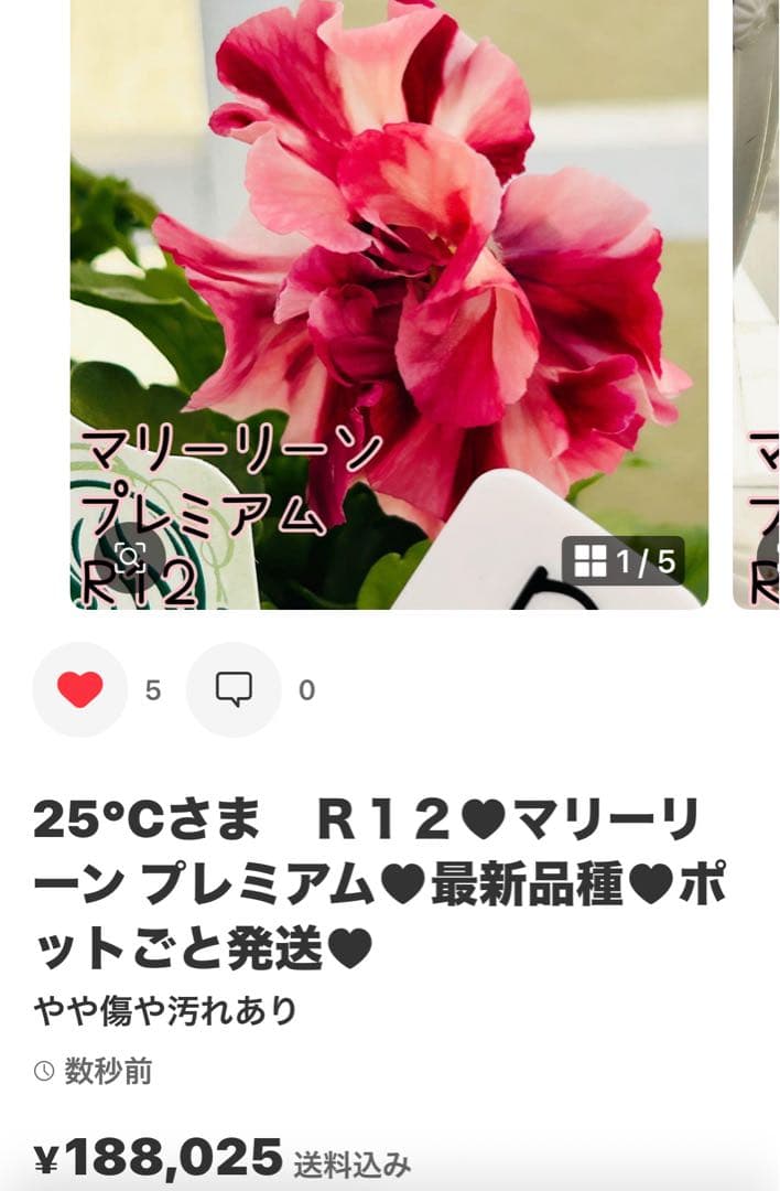 ◆◆◆25℃さま　ＬＡ６６♥マイガール♥希少♥人気
