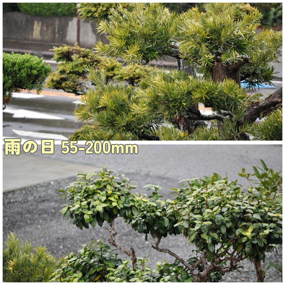 ⭐️訳あり動作良好⭐️Nikon D5000 ダブルレンズ ショット数4138