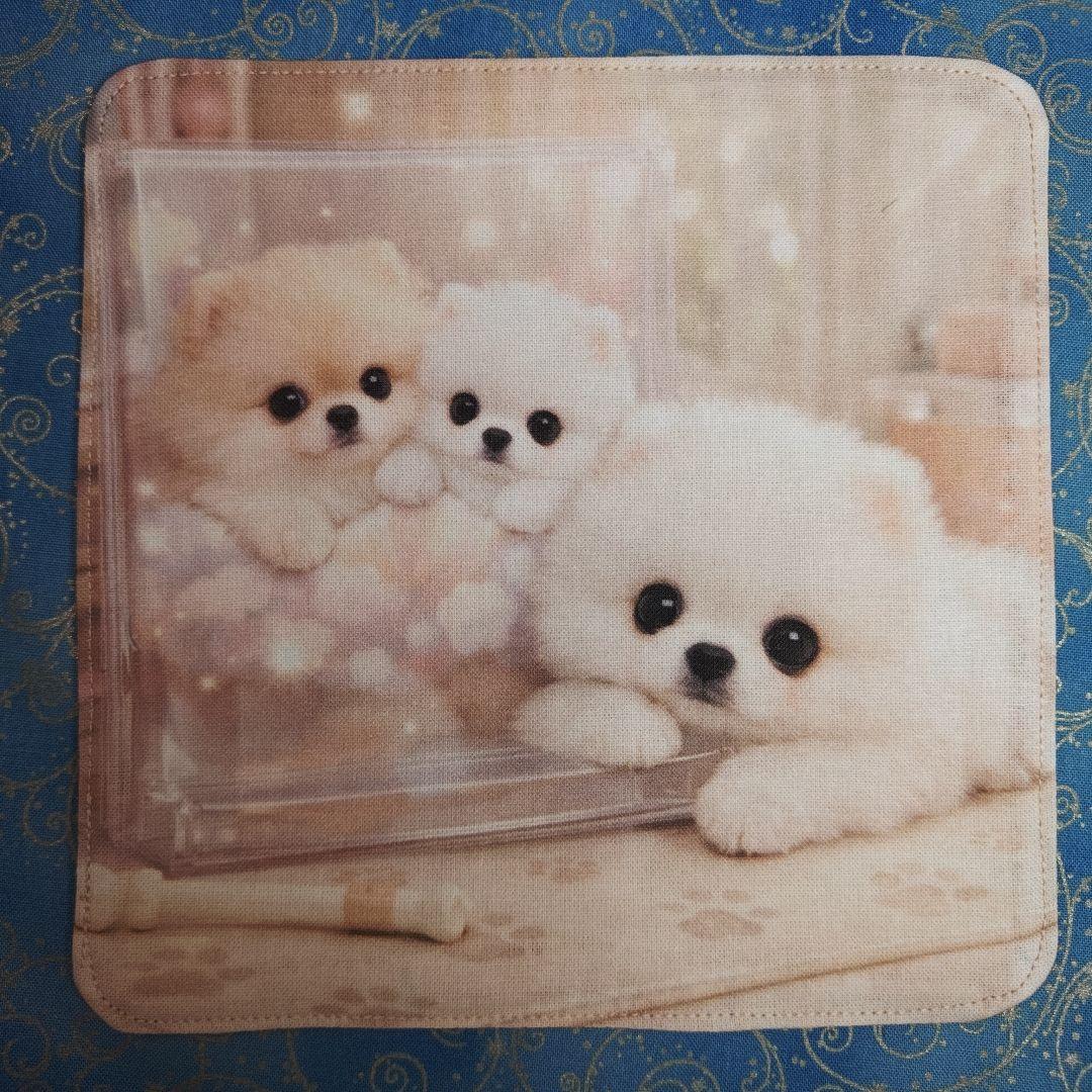 Youretia ハンカチ　ポメラニアンちゃん柄2/27