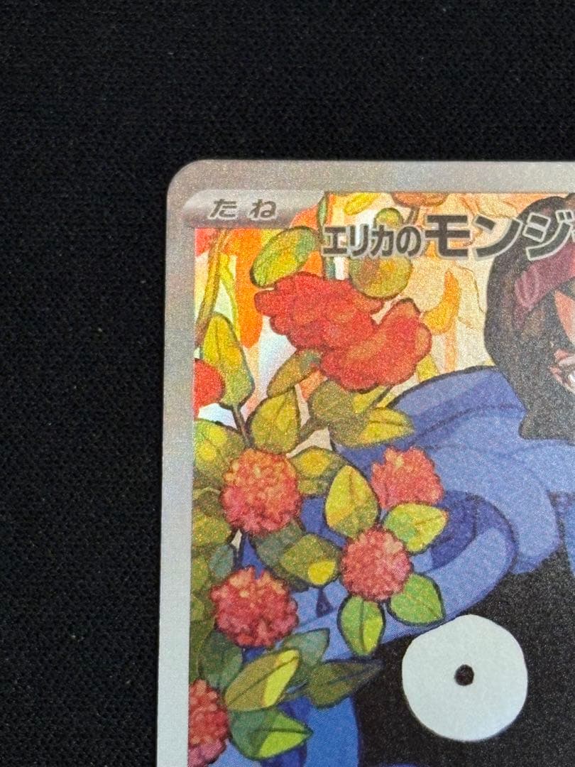 エリカのモンジャラ スタートデッキ100