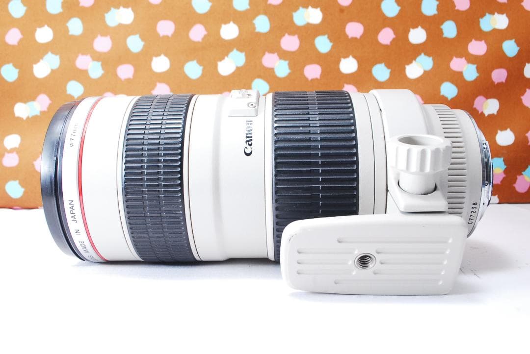 ✨大人気白レンズ✨Canon EF 70-200mm F2.8 L