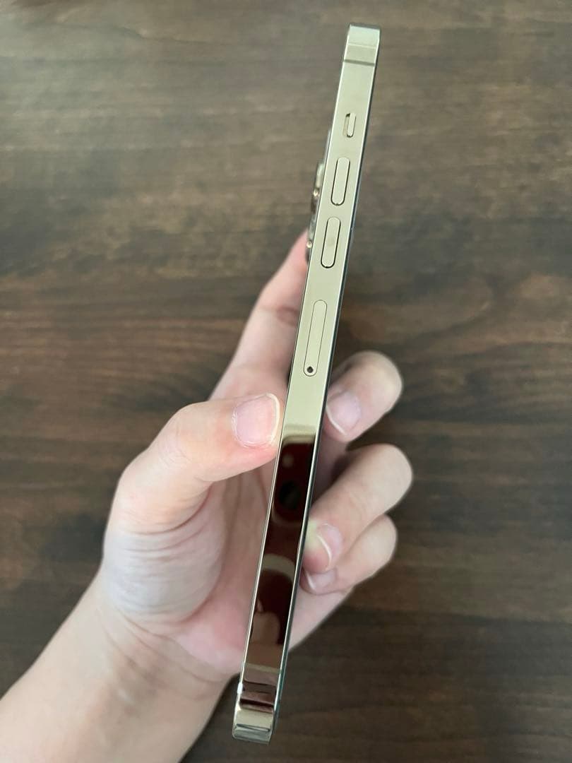 う*ぎ様 Apple iPhone 13 Pro Max ゴールド　1TB 10