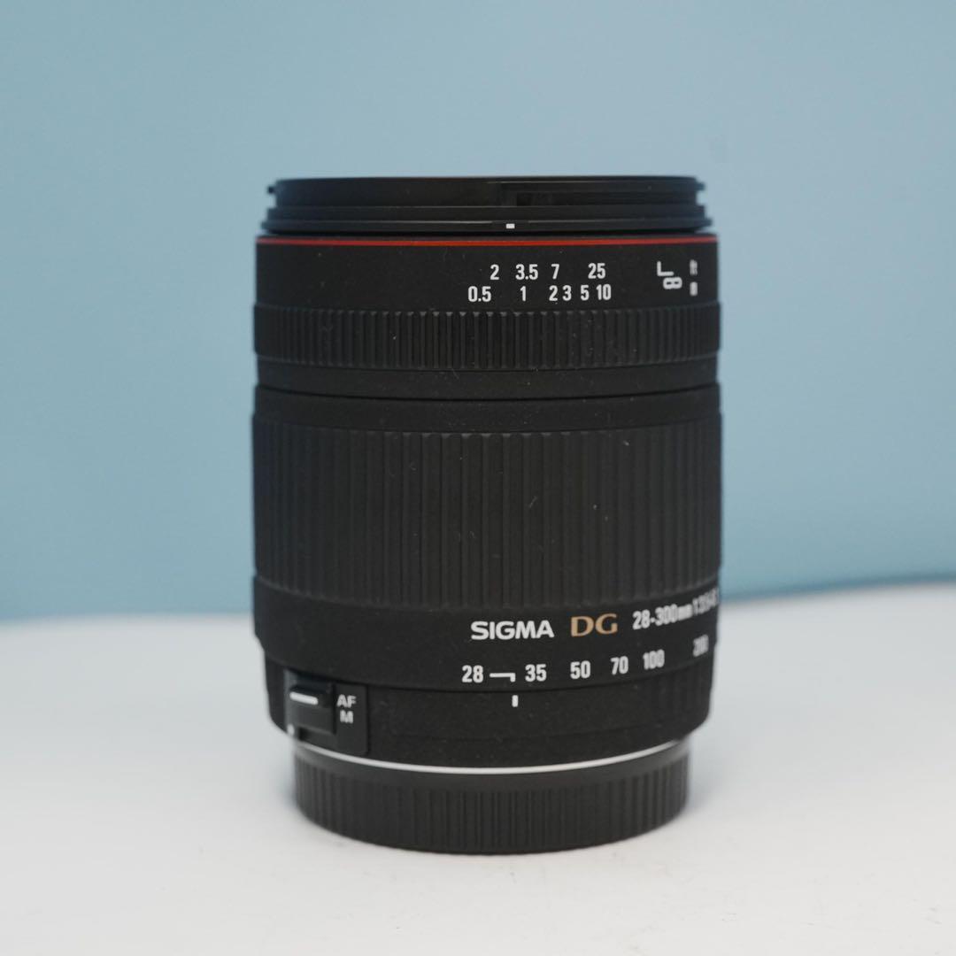 SIGMA 28-300mm Canon用 標準+望遠レンズ a4701