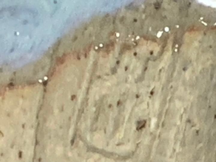 抹茶碗　平茶碗　青釉　貫入あり　茶道具