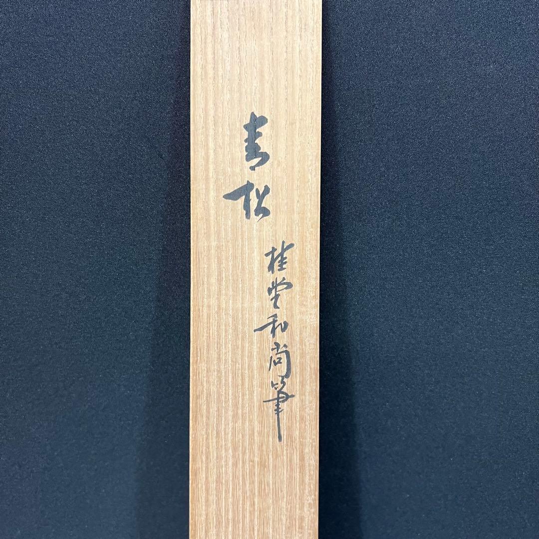4131 吉口桂堂 「青松」 共箱 肉筆 紙本 書 掛軸 臨済宗 大徳寺 禅語