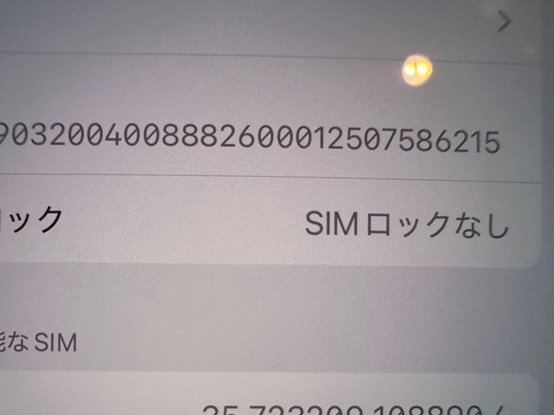 iPhone Xs 256GB 背面ガラスヒビあり SIMフリー