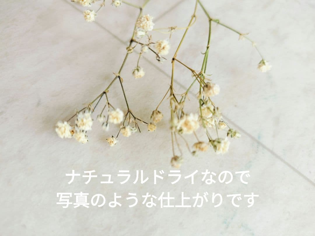 ミニサイズのドライフラワー　小箱No.１７６　千日紅のアレンジセット