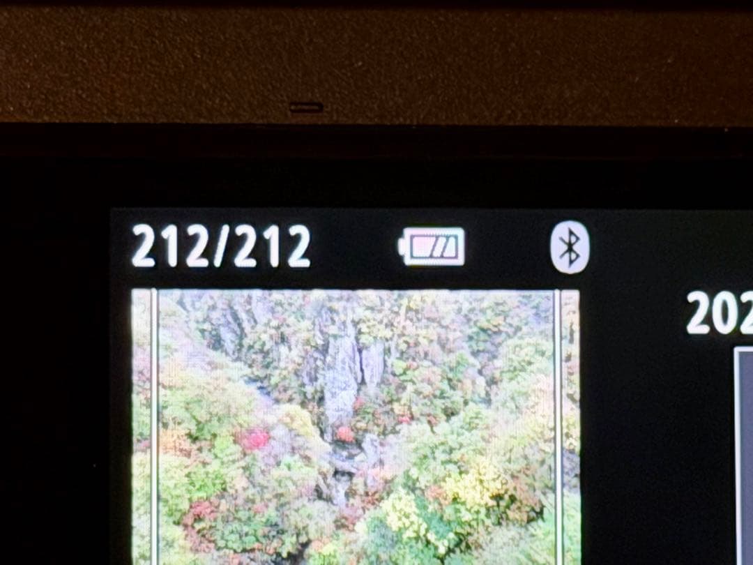 Canon EOS M6 + ズーム11-22mm+単焦点 EF-M 22mm