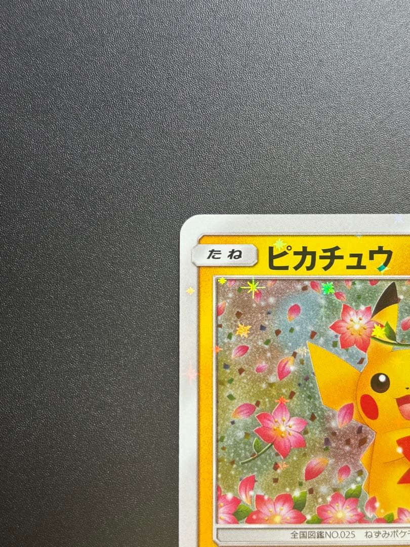【20周年プロモ】みんなでいわうピカチュウ、224/SM-P、1枚