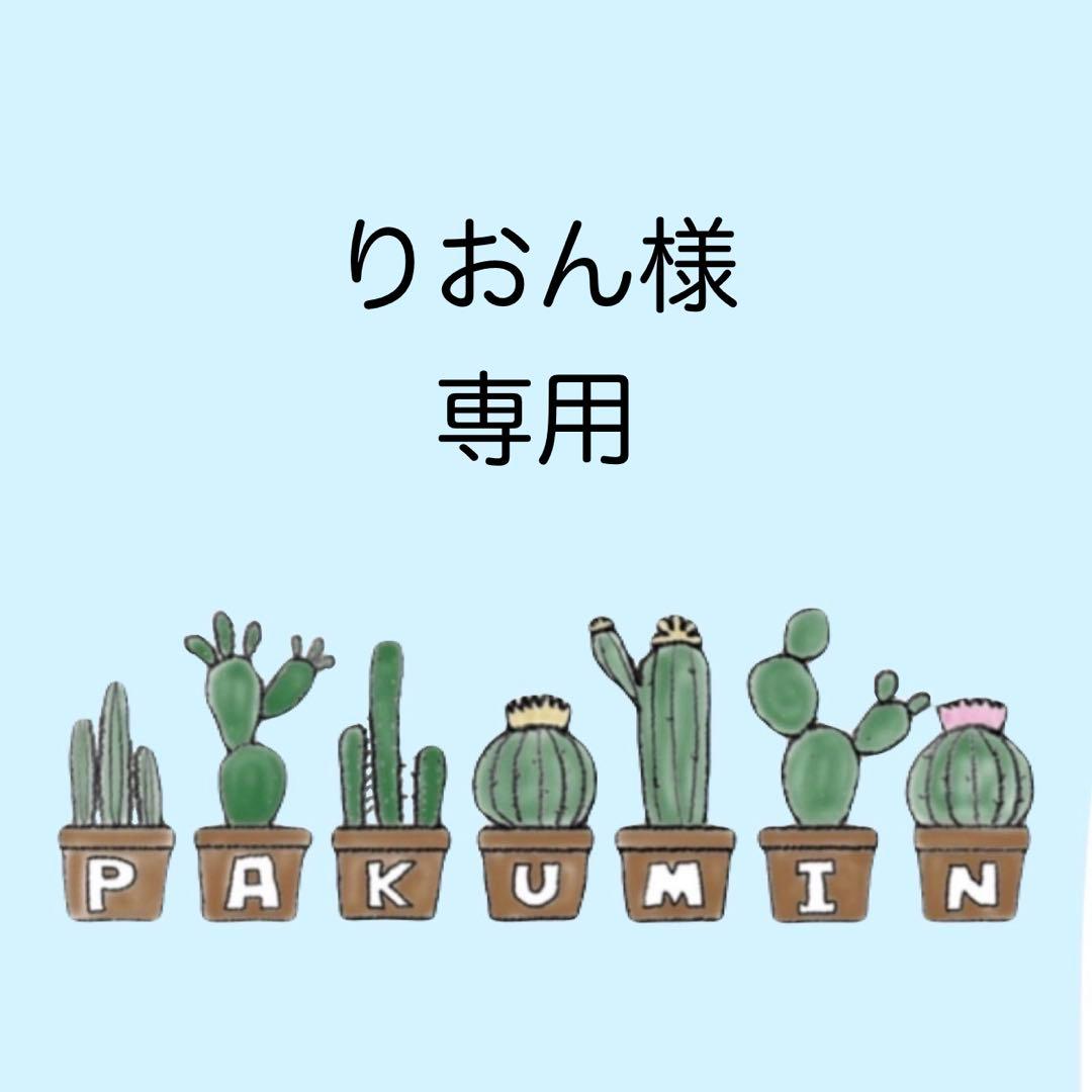✨りおん✨ A6 アクリルレジンバインダー　リング付き　韓国　貯金