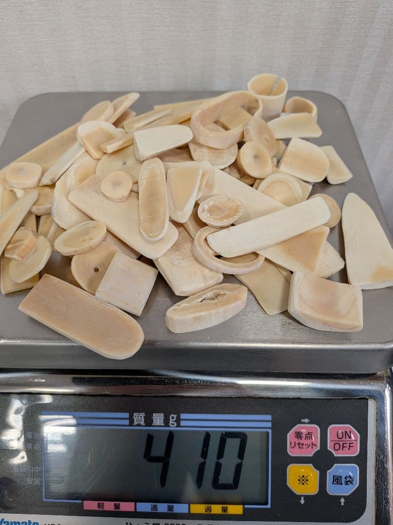 マッコウ鯨　歯本物410g色んな形