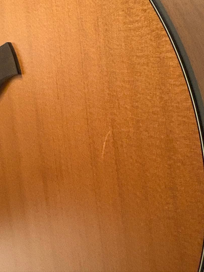 Baton Rouge AR11C/ACE アコースティックギター