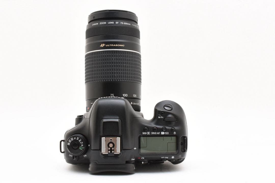 Canon EOS 7D MarkⅡ 望遠レンズセット/Canon 75-300