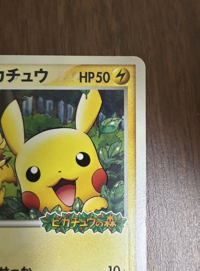 ポケパークのピカチュウ ポケモンカード プロモ