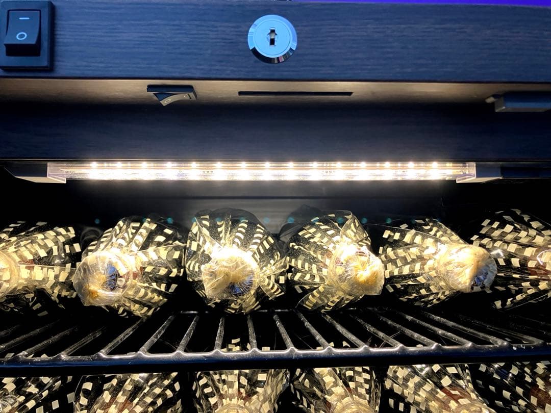 フォルスタージャパン　ワインセラー【120本収納/ 右開き】ウッドブラン