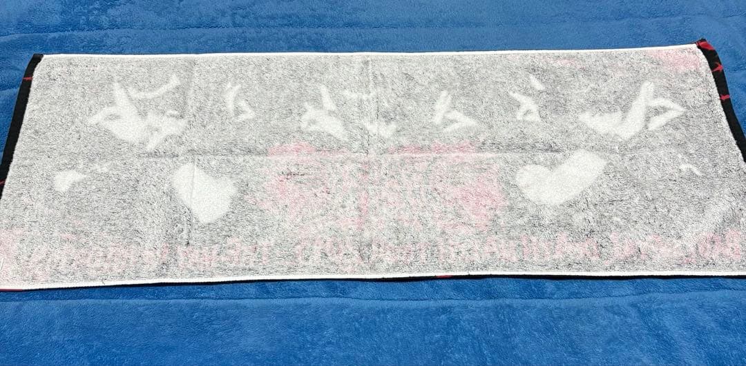 【レア】BABYL★DEATH MATCH TOUR 五月革命記念タオル